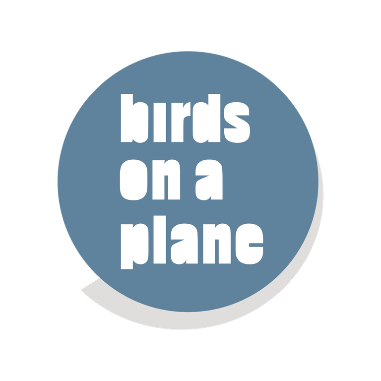 birds on a plane illustration fotografie aachen shop